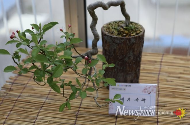 꽃보다 아름다운 작품의 향연, 홍성군 농업기술센터로 봄나들이 오세요