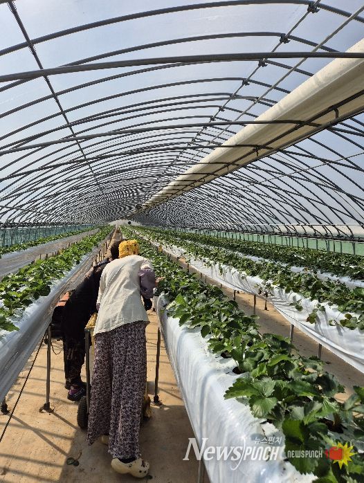 홍성군, 이론 넘어 현장으로 신규농업인 현장실습 1:1 멘토링 실습 돌입