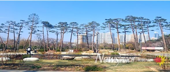 2024. 남구 평화공원(유엔평화의 숲) 기후대응 도시숲 조성사업 완료사진