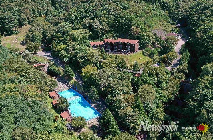 숲길체험프로그램