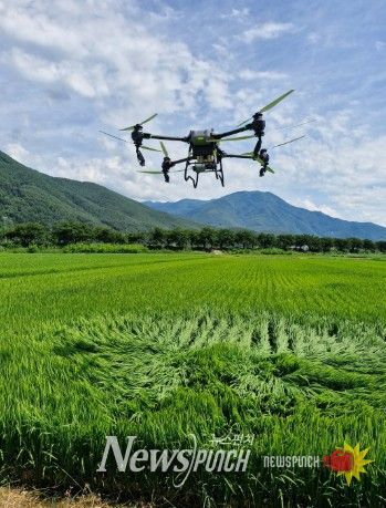 정선군, 379ha 규모 드론 방제 시범사업 추진