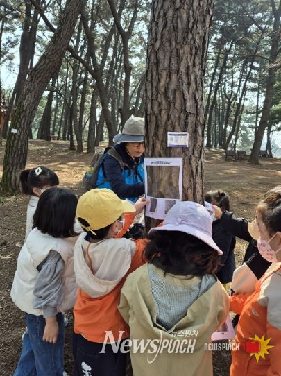 와글와글 움직이는 놀이터, 숲탐험대