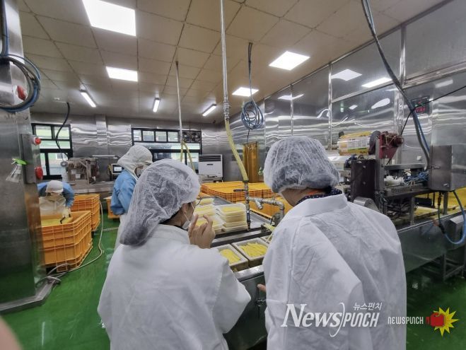 광주시, 식품제조업체 위생관리등급 평가 전면 실시