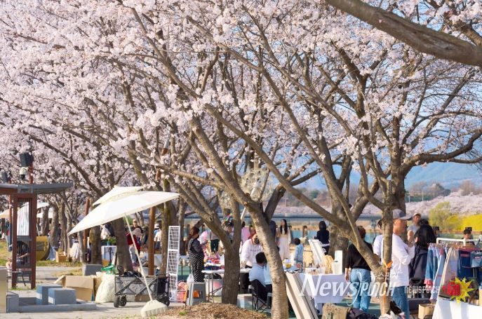 100만이 찾은 봄, 3색 봄꽃의 도시 구례