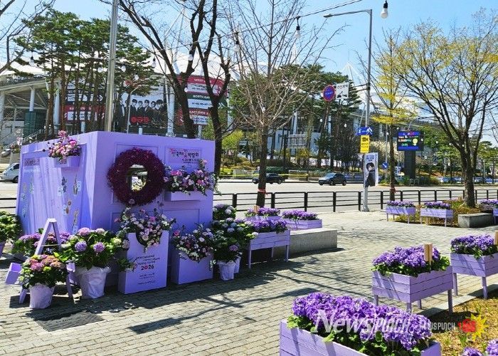 고양국제박람회재단, 꽃박람회 대비 보랏빛 화훼 포토존 설치