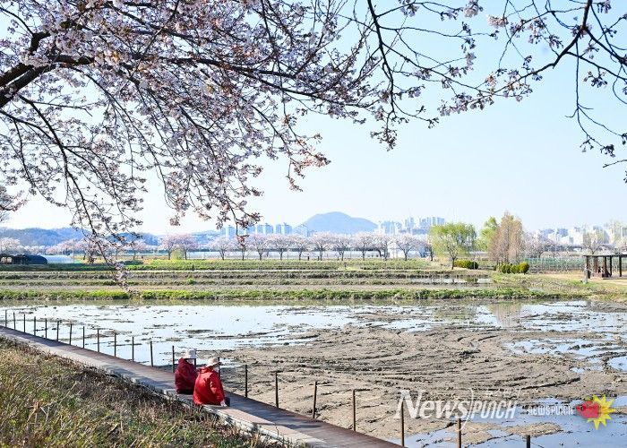 아름다운 우리 시흥시_연꽃테마파크