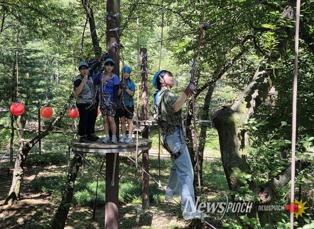 지난해 관악산 모험숲에 참여한 청소년이 공중 모험 코스를 체험하고 있다