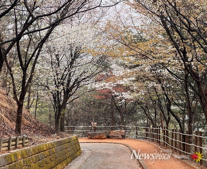 아쉬운 봄, 성주봉자연휴양림에서 다시 붙잡으세요