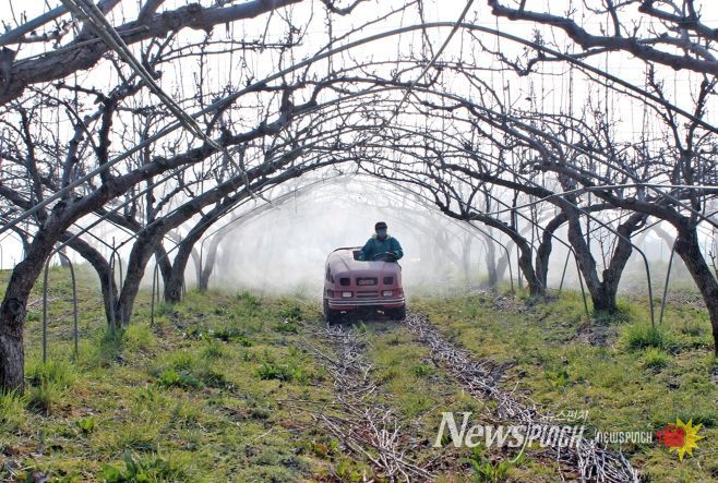 정읍시, 과수화상병 유입 차단 ‘총력’