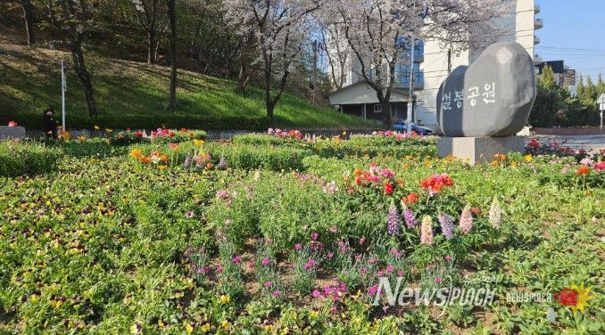 이천시, 설봉공원 봄맞이 초화류 식재 완료