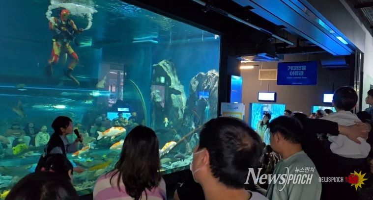 충북아쿠아리움이 쓴 ‘교감의 서사시’ 화제(수중공연)