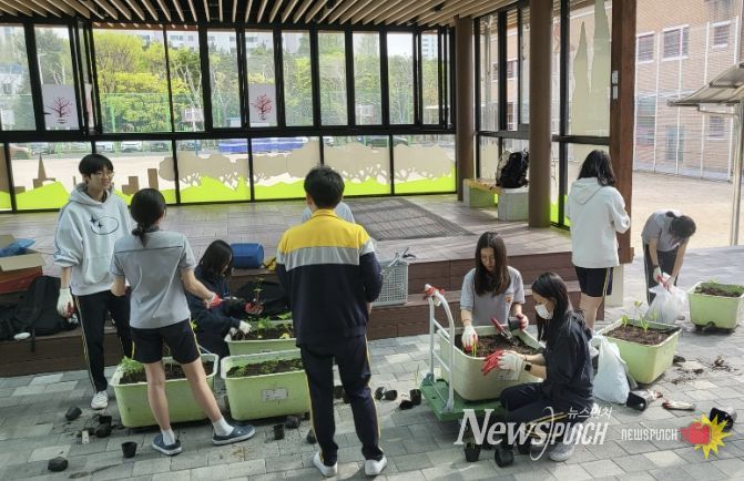 모종을 대형 화분에 옮겨 심는 학생들(화수중학교 생태환경동아리 활동)