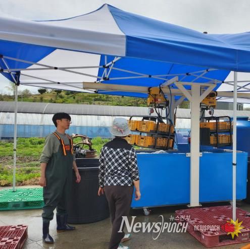 청양군농업기술센터에서 농민들이 온탕 소독을 실시하고 있다.