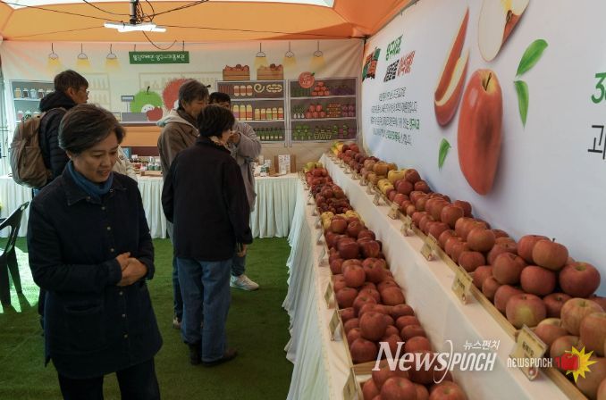 2025 청춘양구 펀치볼시래기사과축제