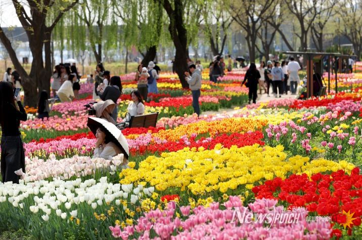 만개한 튤립으로 가득한 ‘용비휴식정원’에서 주민들이 봄나들이를 즐기고 있는 모습