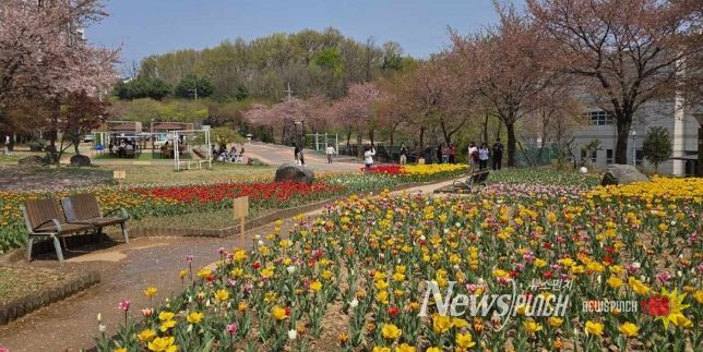 의정부 직동근린공원, 튤립 활짝…쉼과 여유 더한 힐링 공간 조성