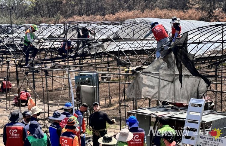 산불 피해 현장 복구