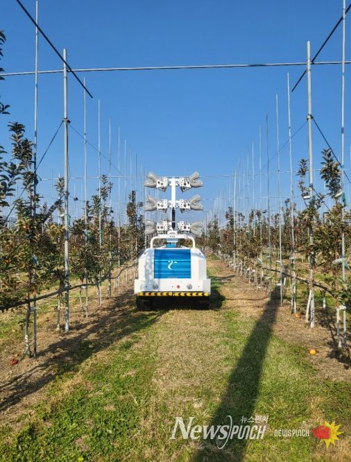 장수군, AI 기반 기상예측 기술로 사과 재배 농가 경쟁력 강화